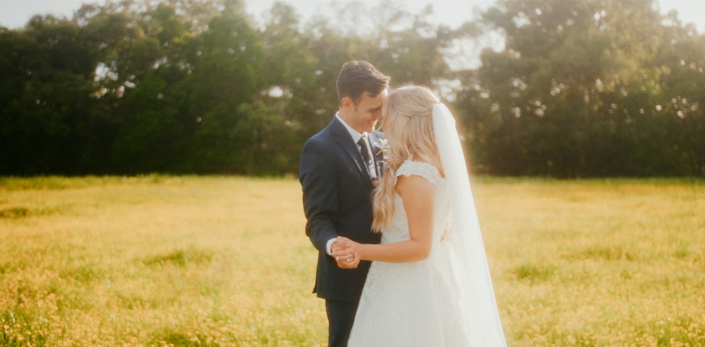 A couple holding hands in a sunlit meadow
